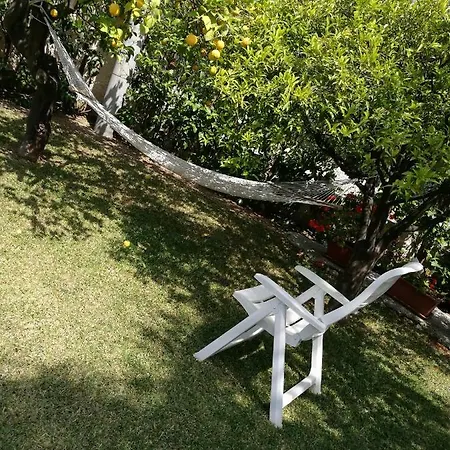 Immersa Nel Verde סירקוזה
